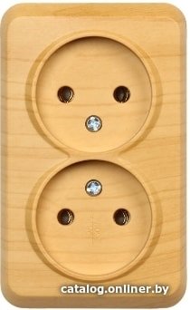 Розетка SmartBuy SBE-03lw-10-S2-N