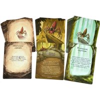 Настольная игра Мир Хобби Эверделл: Туманный лес в Мозыре