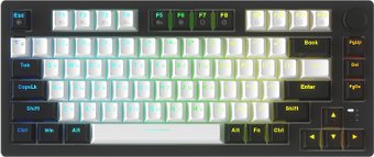 Клавиатура Dareu EK75