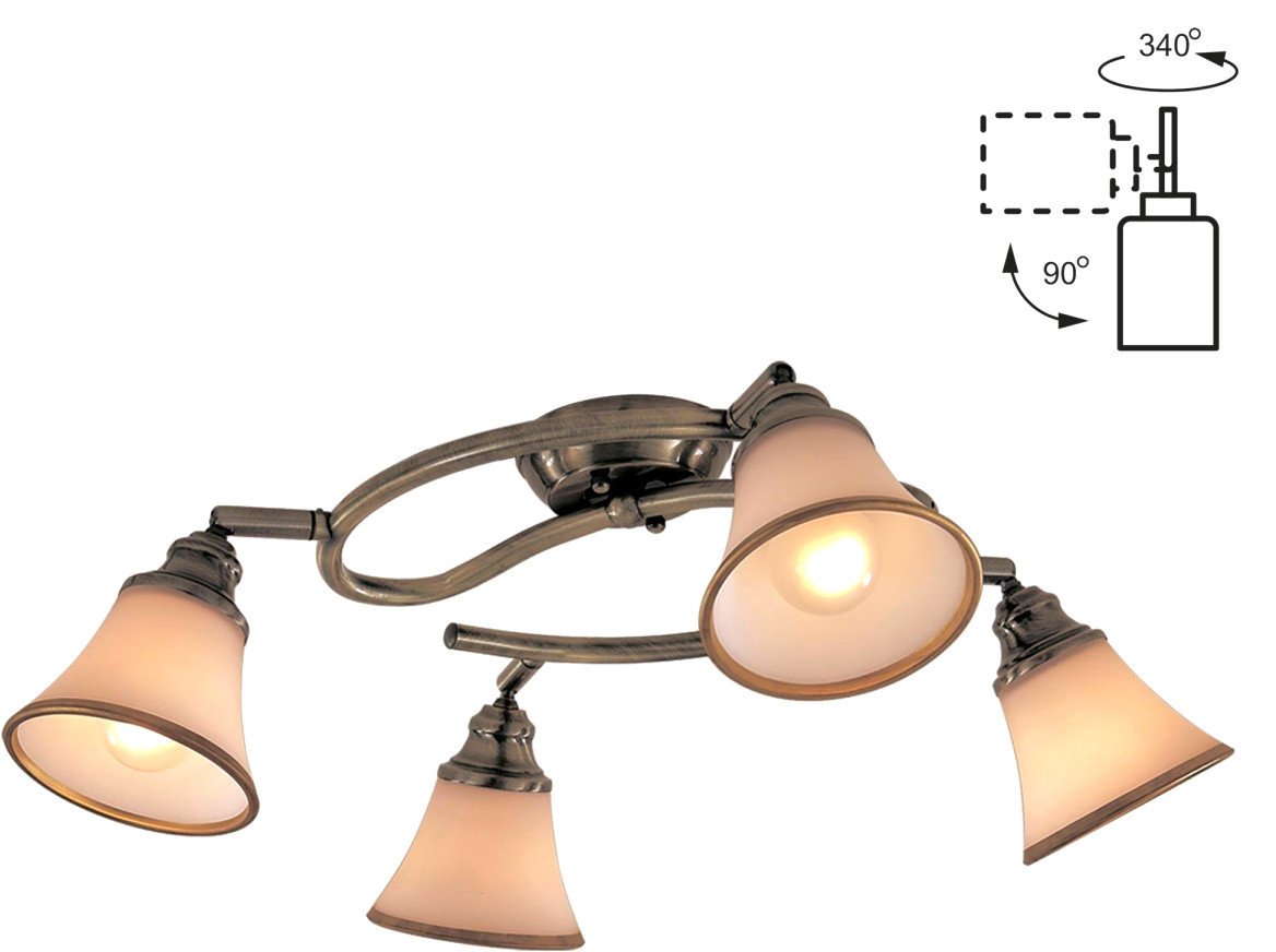 

Спот Citilux Прованс CL511143