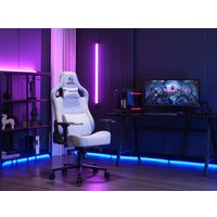 Игровое (геймерское) кресло Evolution Nomad Grey (серый)