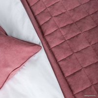 Покрывало Pasionaria Софт 160x220 с наволочками (розовый)