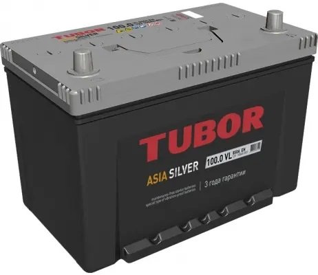 

Автомобильный аккумулятор Tubor Asia Silver R+ (100 А·ч)