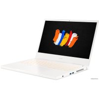 Ноутбук Acer ConceptD 3 CN314-72-74KE NX.C5SER.003