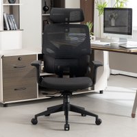 Офисное кресло Evolution LumbarPro (черный)