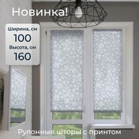 Мини рулонные шторы Franc Gardiner Print Черника 100х160 9403217478 (голубой)