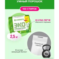 Стиральный порошок Synergetic в стиках 100 шт