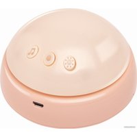 Музыкальная игрушка Hape Друг-кролик E0114