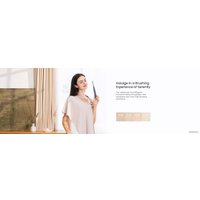 Электрическая зубная щетка Oclean Air 2T Sonic Toothbrush (белый)