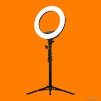 Кольцевая лампа Streamplify Light 14 в Витебске