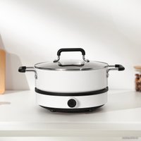 Настольная плита Xiaomi Induction Cooker Lite DCL002CM-1 (евровилка)