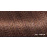 Крем-краска для волос Garnier Color Naturals 6.25 шоколад