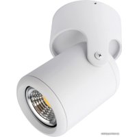 Спот Arte Lamp Libra A3316PL-1WH