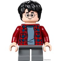 Конструктор LEGO Harry Potter 75953 Гремучая ива