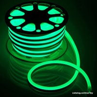 Гибкий неон ЭРА N2835-120-IP67-220V-20m-G