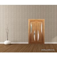 Межкомнатная дверь Вудрев 5-60-1x2 ДО