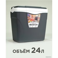 Термобокс Picnic Antarctica 24л (серый)