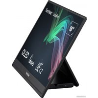 Портативный монитор ViewSonic ColorPro VP16-OLED