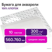 Набор бумаги для рисования BRAUBERG Art Premiere 113236 (10 л)