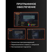 Клавиатура Royal Kludge RK100 RGB (белый/серый, RK Red)