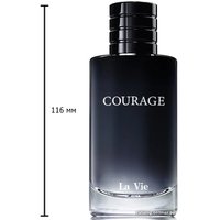 Парфюмерная вода Dilis Parfum Courage EdP (100 мл)