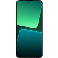 Телефон Xiaomi 13 Pro 12GB/256GB международная версия (светло-зеленый)