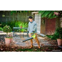 Ручная воздуходувка Ryobi RBL36JB (без АКБ)