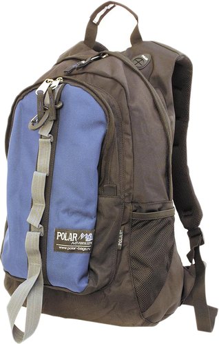 Polar П919 (синий)