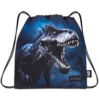 Мешок для обуви SkyName M-302