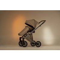 Универсальная коляска Anex E/type 2022 (2 в 1, boho et-SE01)