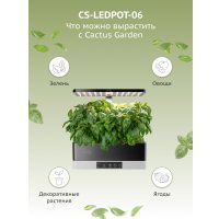 Умный сад CACTUS CS-LEDPOT-06
