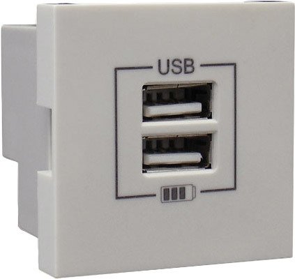 

Розетка USB Efapel 45439 SGE