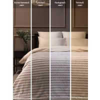 Плед Tex Republic Absolute Зигзаг двухцветный Flannel 200x220 92573 (бежевый)