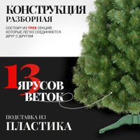 Сосна Erbis Sosna Сибирская 180