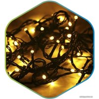 Светодиодная гирлянда ETP LKS5009-WW 8 м (белый теплый)