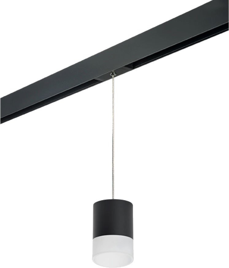 Трековый светильник Lightstar Rullo PRORP348781