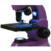 Детский микроскоп Levenhuk Rainbow 50L Plus (аметист) 69052