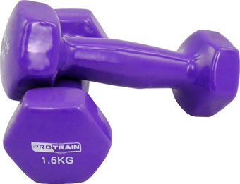 Набор гантелей Protrain HC4005-1.5 2x1.5 кг