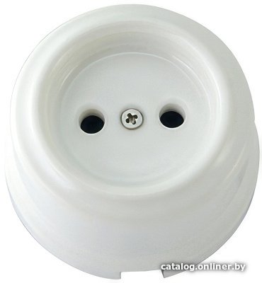 Розетка TDM Electric Болонь SQ1820-0004