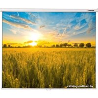 Проекционный экран Lumien Eco Picture 198x300 LEP-100120