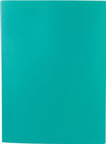 Папка для бумаг Lite NP0145-20BG с файлами