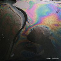  Виниловая пластинка The XX - Coexist