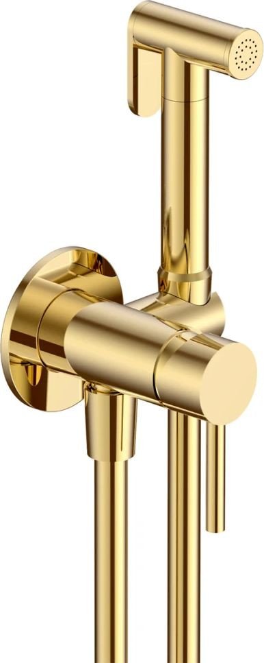 Гигиенический душ AQUAme Siena AQM6217GG