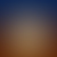 Рельефные презервативы Contex №12 Relief с ребрами и точками (12 шт)