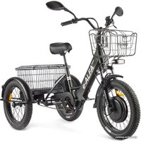 Электровелосипед Eltreco Green City e-ALFA Trike 2022 (черный)