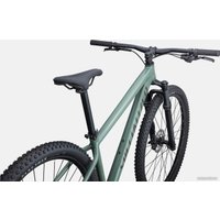 Велосипед Specialized Rockhopper Elite 29 M 2022 (Gloss sage green/Oak green)