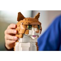 Конструктор LEGO Ideas 21376 Рыжий кот