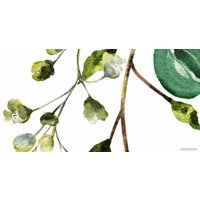 Фотообои ФабрикаФресок Зеленый гербарий 706270 (600x270)