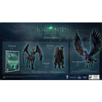  Hogwarts Legacy Collectors Edition для PlayStation 5