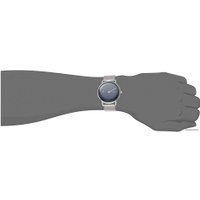 Наручные часы Skagen SKW6488